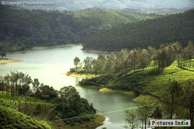 munnar